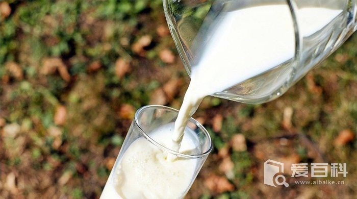 每天喝纯牛奶有什么好处跟坏处 每天喝纯牛奶有什么影响