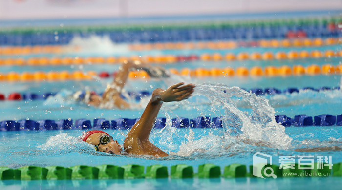 游泳比赛有几种游泳姿势 游泳比赛有哪些游泳姿势